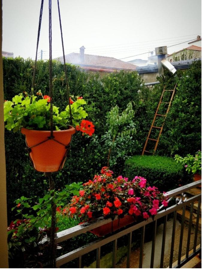 The Traditional Greek House 이오아니아 외부 사진