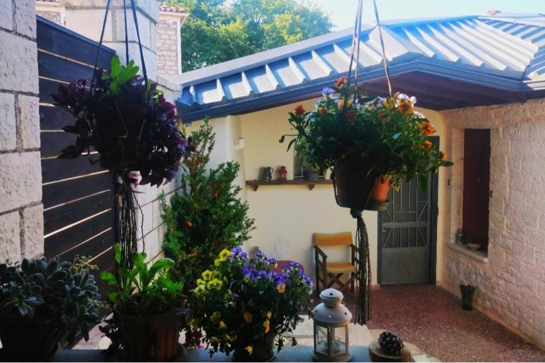 The Traditional Greek House 이오아니아 외부 사진